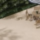 Porcelanato Incesa Pietra Naturale Externo 60x60cm Retificado - 008c6243-7c35-4329-b3ef-aadcafda9dbb