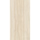 Porcelanato Portinari Coliseu Ofw Natural 58,4x117cm Retificado - a174c747-7a95-4d23-8520-12b78010779e