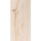 Porcelanato Portinari Duomo Opala Polido 58,4x117cm Retificado - c053f76e-373a-43de-a2c4-87b4268d9b38