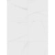 Porcelanato Portinari Lumina Wh Acetinado 58,4x117cm Retificado - a6cb82b3-5e9a-4bc3-9689-cb123d5f7b3e
