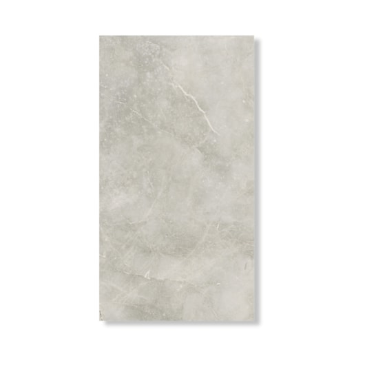 Porcelanato Portinari Magnum Hd Sgr 58,4x117cm Retificado - Imagem principal - a9973b26-a839-446a-8fc7-064f05b951b9