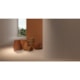 Porcelanato Portinari Maracangalha Sbe Natural 100x100cm Retificado - 64bf20d0-3a27-450f-aeb9-84c49ef96d29