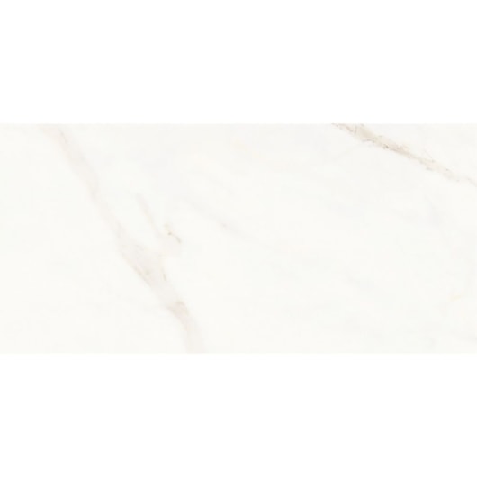 Porcelanato Portinari Opera Covelano Natural 58,4x117cm Retificado - Imagem principal - 1378b4ef-e7b1-4c17-9eec-6831a464998a