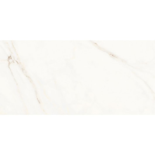 Porcelanato Portinari Opera Covelano Natural 58,4x117cm Retificado - Imagem principal - 9e8170fe-c27c-46f8-9dee-ab083289d6ab