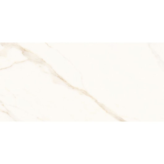 Porcelanato Portinari Opera Covelano Natural 58,4x117cm Retificado - Imagem principal - 3c6d0eaf-5958-478e-90f4-794333989e97