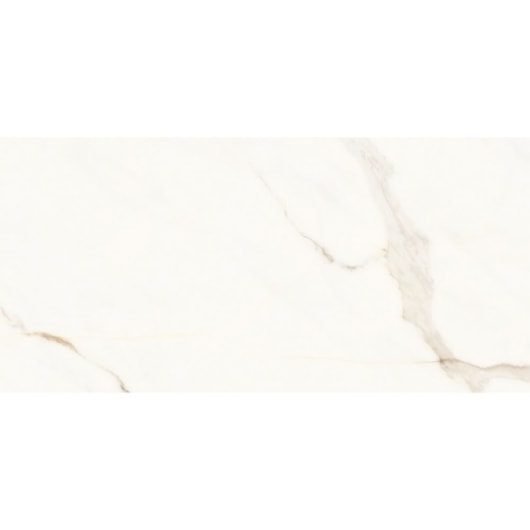 Porcelanato Portinari Opera Covelano Natural 58,4x117cm Retificado - Imagem principal - a862be09-64c6-4b38-a75f-e9736dacd0b5
