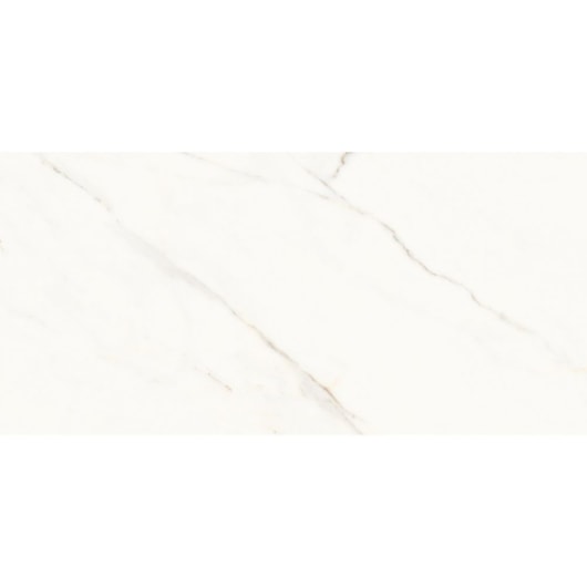Porcelanato Portinari Opera Covelano Natural 58,4x117cm Retificado - Imagem principal - a5b10077-3e4b-4db0-9dae-76ca8533bffa