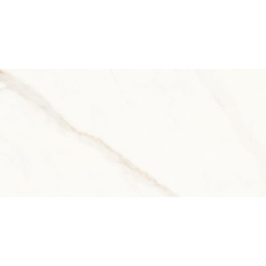 Porcelanato Portinari Opera Covelano Natural 58,4x117cm Retificado - Imagem principal - a69a0926-7416-434f-a244-6c4053b005d9