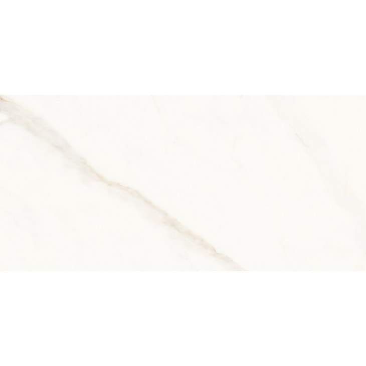 Porcelanato Portinari Opera Covelano Natural 58,4x117cm Retificado