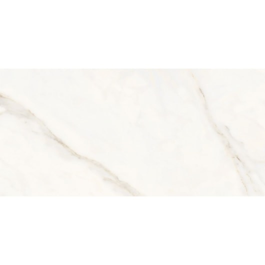 Porcelanato Portinari Opera Covelano Polido 58,4x117cm Retificado - Imagem principal - c009f761-357d-4859-855e-a9dfaf7006eb