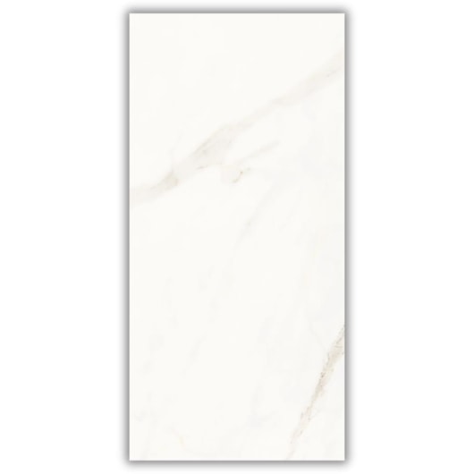 Porcelanato Portinari Opera Covelano Polido 60x120cm Retificado - Imagem principal - 293e8120-7394-4966-8f64-76593637482f