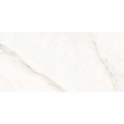 Porcelanato Portinari Opera Wh Natural Pei 4 58,4x117cm Retificado - Imagem principal - 47e530c3-323f-408f-8419-bf617c997a3d