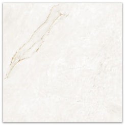 Porcelanato Portinari Parana Gold Wh Natural 120x120cm Retificado