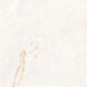 Porcelanato Portinari Parana Gold White Polido 120x120 cm - 866d1a07-81ff-44f9-819c-80c633dff64c