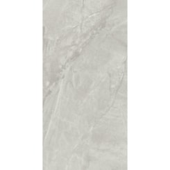 Porcelanato Portinari Pietra Di Savoie Sgr Polido 58,4x117cm Retificado