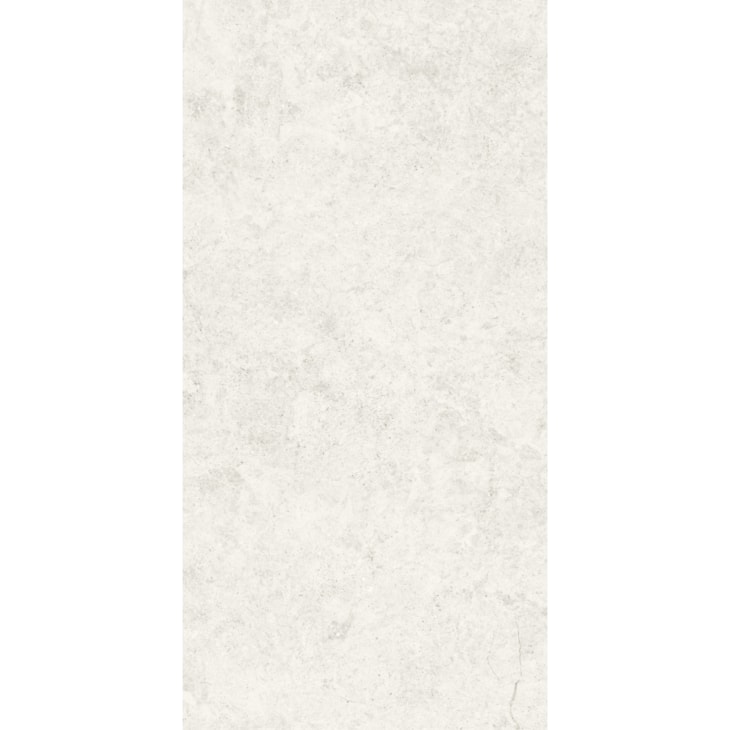 Porcelanato Portinari Ritual Ofw Hard 58,4x117cm Retificado