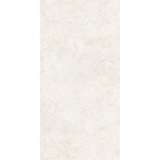 Porcelanato Portinari Ritual Ofw Natural 58,4x117cm Retificado - Imagem principal - 29f078a1-5141-4dd8-b522-5bb3039a42e2