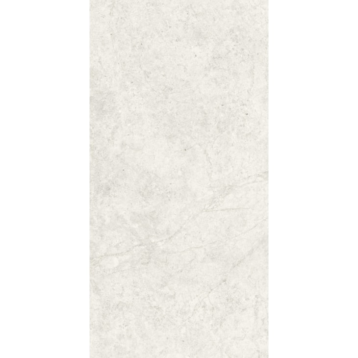 Porcelanato Portinari Ritual Ofw Natural 58,4x117cm Retificado