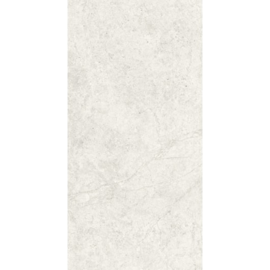 Porcelanato Portinari Ritual Ofw Natural 60x120cm Retificado - Imagem principal - ab576cf8-dd77-4ef1-99a7-93c4a86a60fa