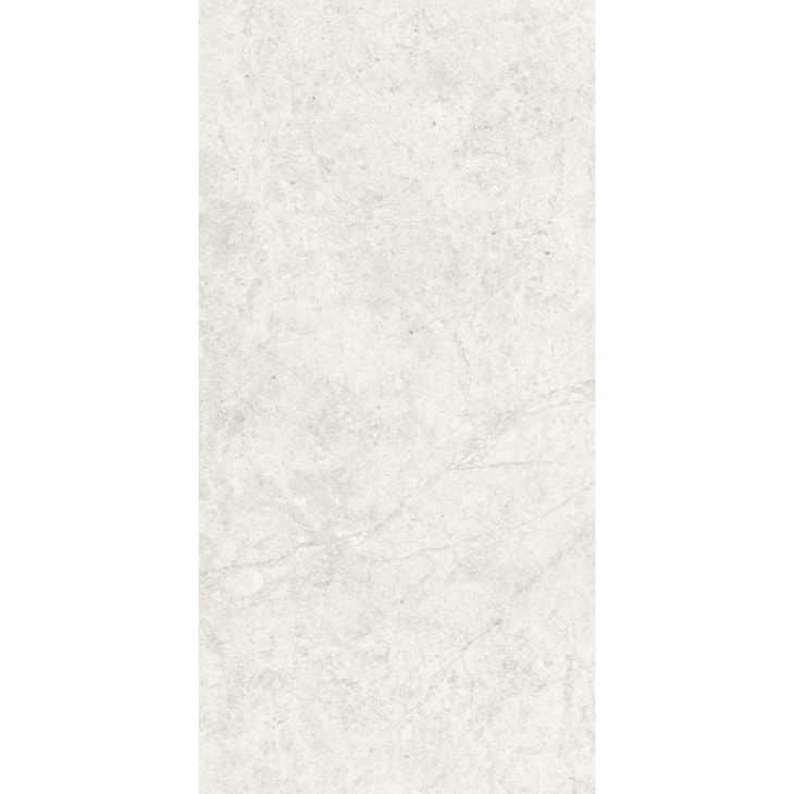 Porcelanato Portinari Ritual Ofw Natural 60x120cm Retificado