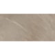 Porcelanato Portinari Serena Hd No Acetinado 58,4x117cm Retificado - fabdb8d7-af6d-4cfc-b552-794eeace775e