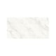 Porcelanato Portobello Chiaro Di Versalia Maxi Graffi Natural 60x120cm Retificado - 4a904636-0c9f-4d7c-b0bb-a1d7fc208931