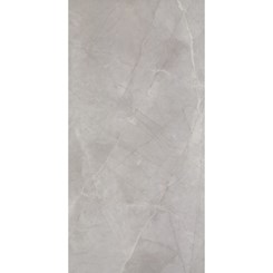 Porcelanato Portobello Mare D'autunno Polido 60x120cm Cinza Retificado 
