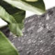 Porcelanato Portobello Samba Rock Graphite St Natural 120x120cm Retificado - 7450ec35-db66-4e4a-bb40-3d089473d2e9