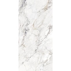 Porcelanato Retificado 120x250cm Breccia Capraia Polido A Roca