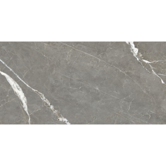 Porcelanato Retificado Bronzo Fiorino Acetinado A/lc Damme 62x121cm - Imagem principal - 4e613163-1e0d-4a6d-9d42-74364371b2d1