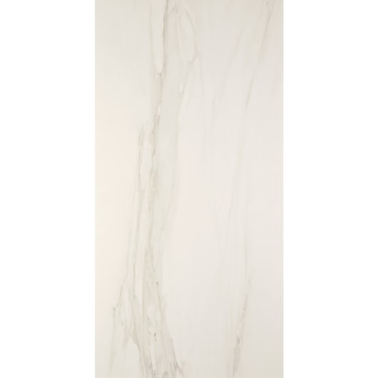 Porcelanato Retificado Charleston Natural Portobello 60X120Cm - Imagem principal - 6b0db31e-f597-4835-8c7f-6987aa175187