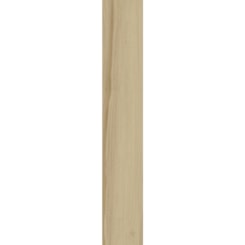 Porcelanato Retificado Donatelo A/ld Biancogres 20x120cm 