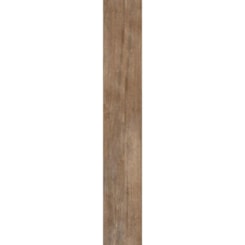 Porcelanato Retificado Naturalia 120001 A/ld Embramaco 20x122Cm