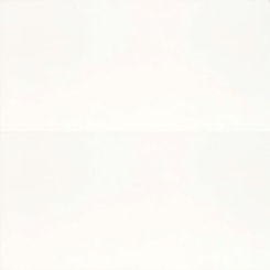 Porcelanato Retificado Pure White Polido A Caixa Com 1,94 Elizabeth 49x99cm