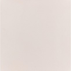 Porcelanato Técnico Elizabeth Bianco Master Polido 62,5x62,5cm Branco Retificado 