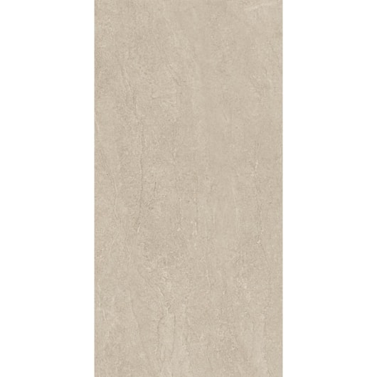 Porcelanato Villagres Pantheon Natural 61,4x123cm Retificado - Imagem principal - 46faf201-6fc2-4d6f-9c77-08e672f96041