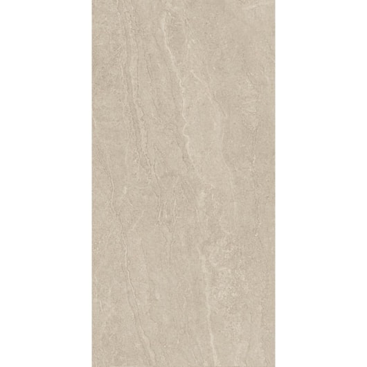 Porcelanato Villagres Pantheon Natural 61,4x123cm Retificado - Imagem principal - a4890bb9-dc75-4570-bd5e-9a1dfa99681c