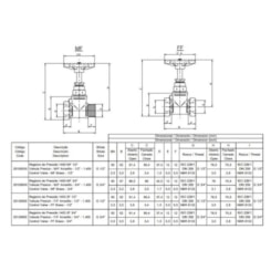 Registro De Pressão 1.400 Latão Machoxfêmea 1/2