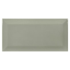 Revestimento Eliane Metro Sage Brilhante 10x20cm