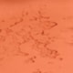 Revestimento Eurogres Lajota Terracota Corrugada 11,5x11,5cm - 6166711f-f78c-4da1-9a58-d1802e5d460e
