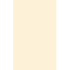 Revestimento Opus Beige Brilhante 33x59cm Retificado Revestimento Opus Beige Brilhante 33x59cm Retificado
