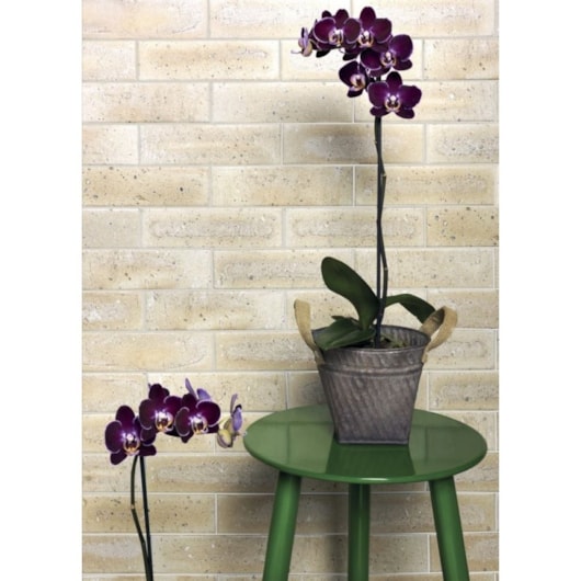 Revestimento Para Fachada 6,5x23cm Bold Westminster Mate Fa/re Portobello - Imagem principal - 938f6544-52e1-4561-8839-6d3734c7f060