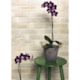 Revestimento Para Fachada 6,5x23cm Bold Westminster Mate Fa/re Portobello - 25b30bc4-8865-4643-9d18-32e378409635