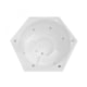 Spa Flora Sextavada Standard Ourofino - 94c60328-4b66-4680-b073-d81ab6292d8c