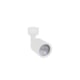 Spot Led Trilho Direct Mr16 6w 3000k Branco Taschibra - 907f77fa-4830-45ae-8f06-1cb2b61a27d4