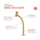Torneira Lavatório Basic Mesa Bica Alta Matte Gold Roca - 76fb10c4-4b4f-4fd0-a158-5292c5325475