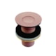 Válvula De Fechamento De Pressão 1612 7/8 Cobre Matte Pet Meber - be8141f3-81f6-4f08-95c4-228068a06164