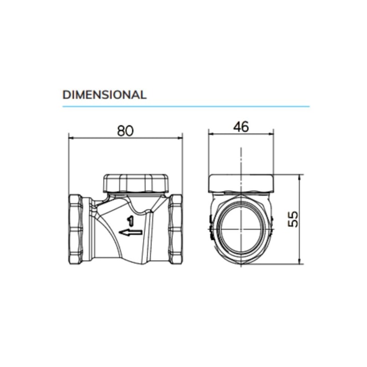 Válvula De Retenção Horizontal 1