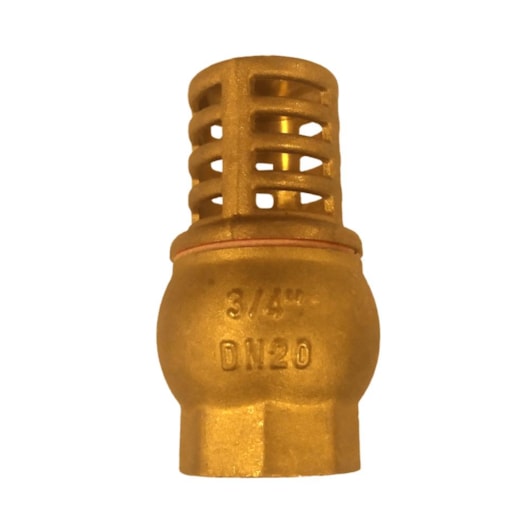 Válvula de Retenção Vertical De Poço 3/4 Komeco - Imagem principal - 073c3b31-fc07-434f-9f3b-3a84f2f0e9e0