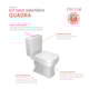 Vaso Sanitário C/ Caixa Acoplada E Acessórios Quadra Branco Deca - 1b2f9b02-6c55-4379-84bf-00b0b96ebdf6